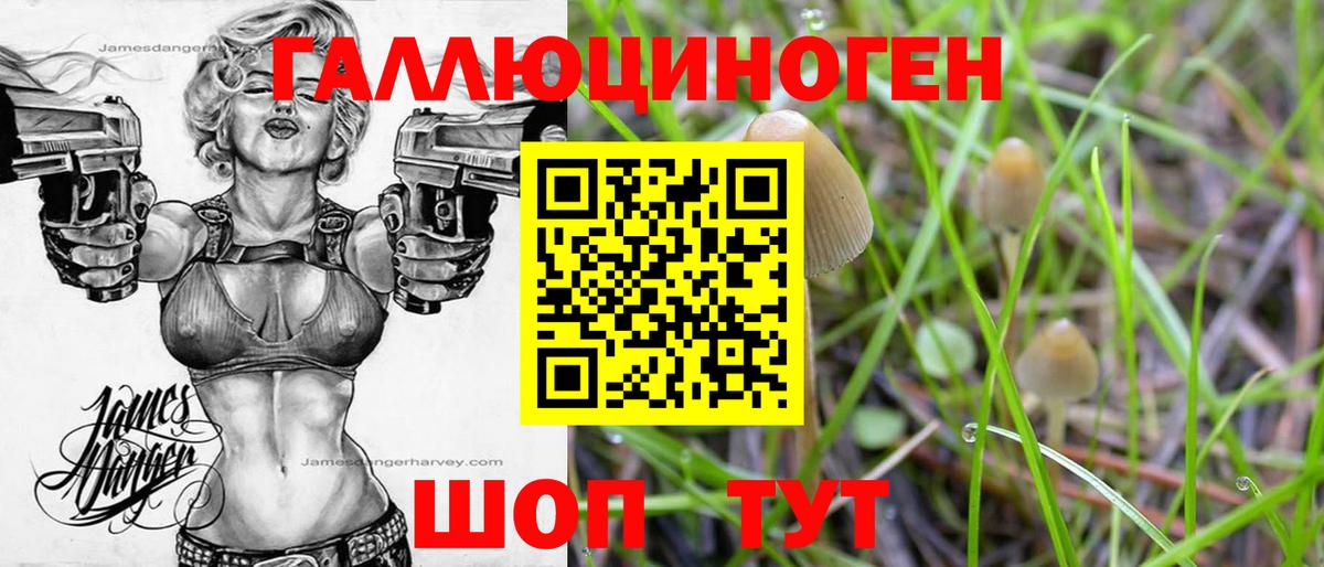 Галлюциногенные грибы Psilocybine cubensis  Вход с VPN  Нижнекамск 