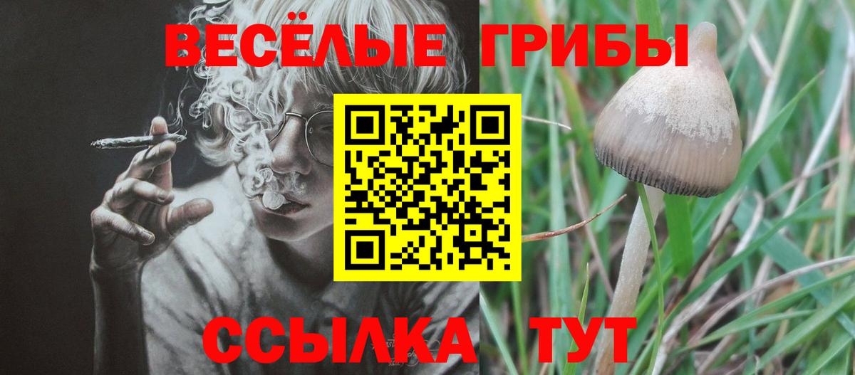 Псилоцибиновые грибы мицелий Нижнекамск